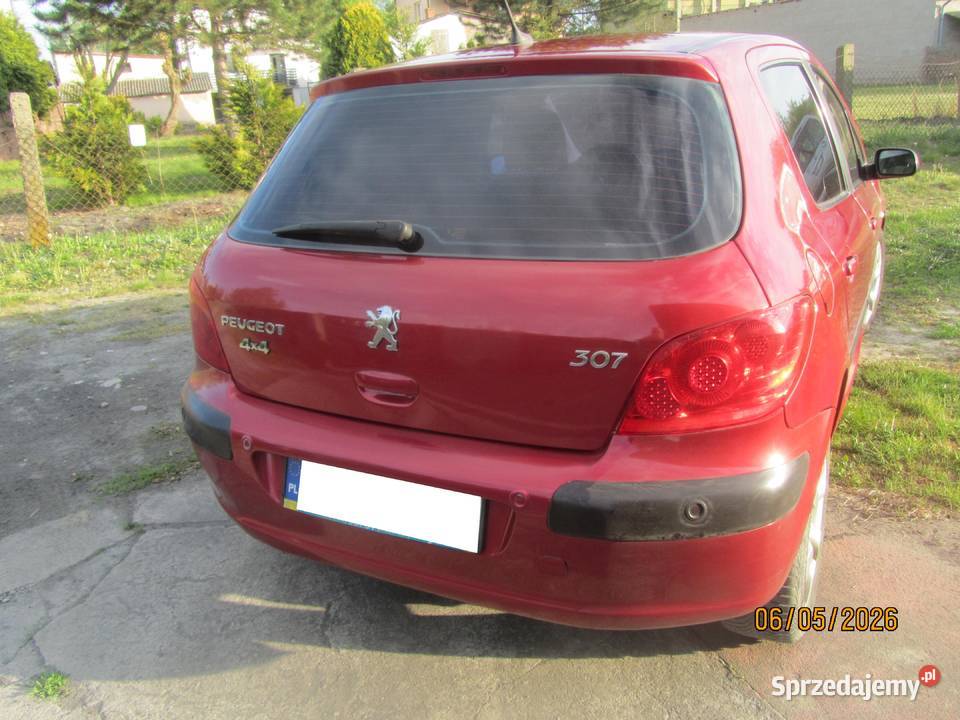 307 lifcie z gazem z super wyposażeniem Łowicz sprzedam