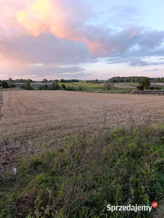 Działka Lesie 7 Uzdrowiska BuskoZdrój 30ar 60ar sprzedam