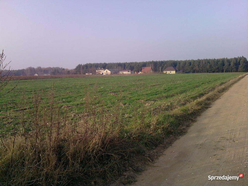 działkę odrolnioną pod zabudowę Omięciny