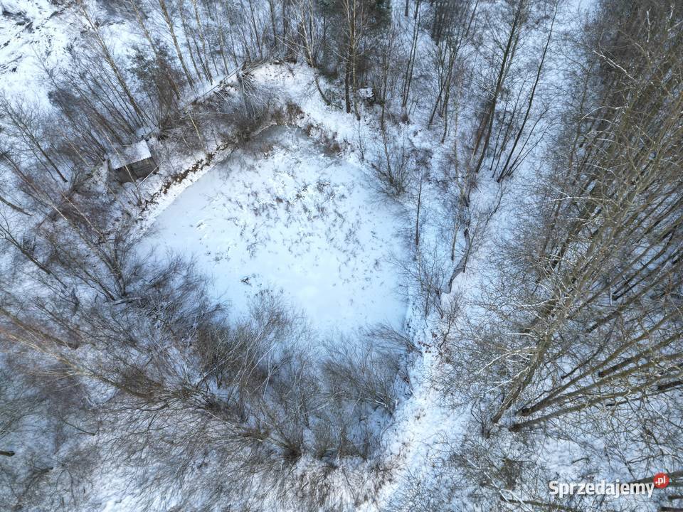 Działki ranczo gospodarstwo dom 64 ha las staw Rozterk sprzedam