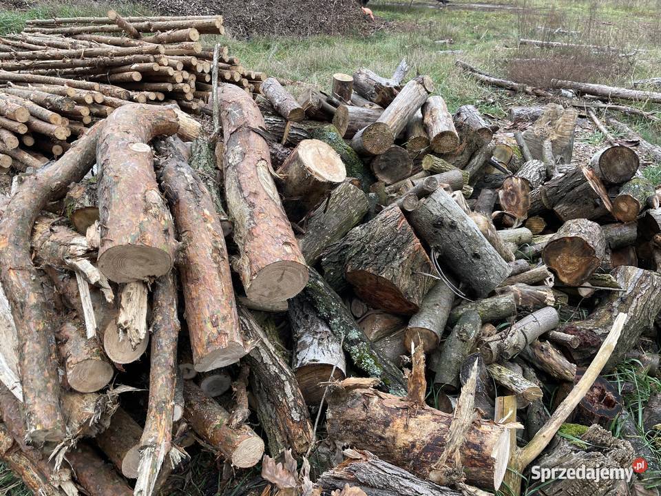Drzewo na opał tanio Białobrzegi sprzedam