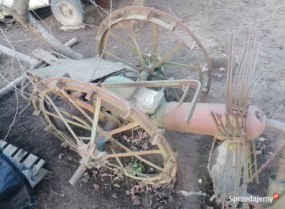 Kopaczka jednorzędowa Kalno