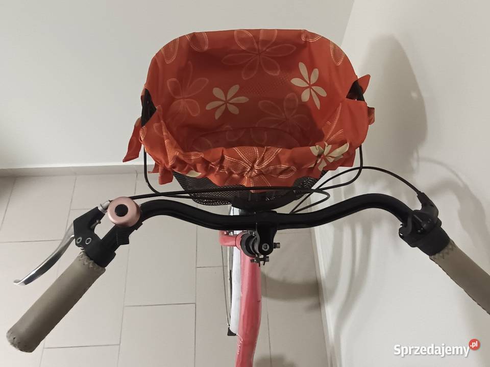 Damka 28 stan Pruszcz Gdański sprzedam