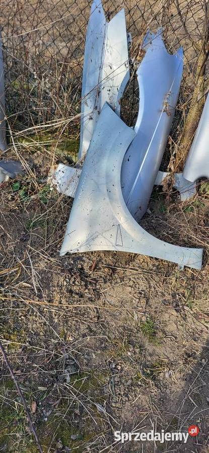 Błotnik Prawy Renault Megane 2 ładny stan małopolskie Żabno