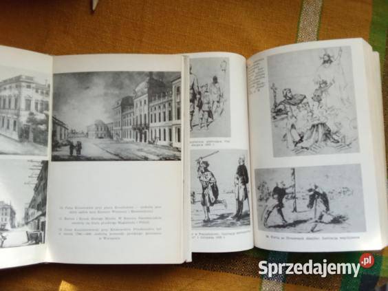Pod pruskim zaborem historia zabory Prusy Książki naukowe i popularnonaukowe Łódź sprzedam