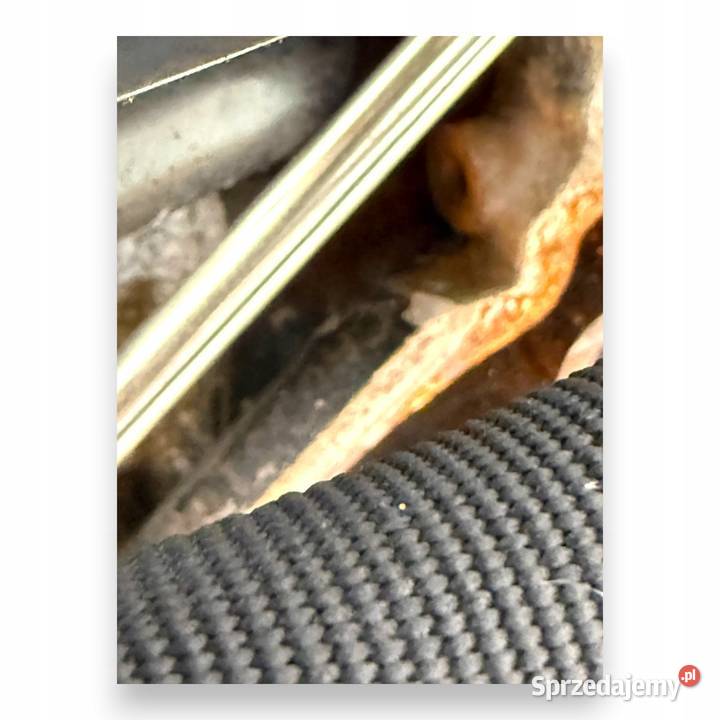 SILNIK CAG CAGA Audi A4 B8 Q5 8R A5 8T Seat Exeo Chełm