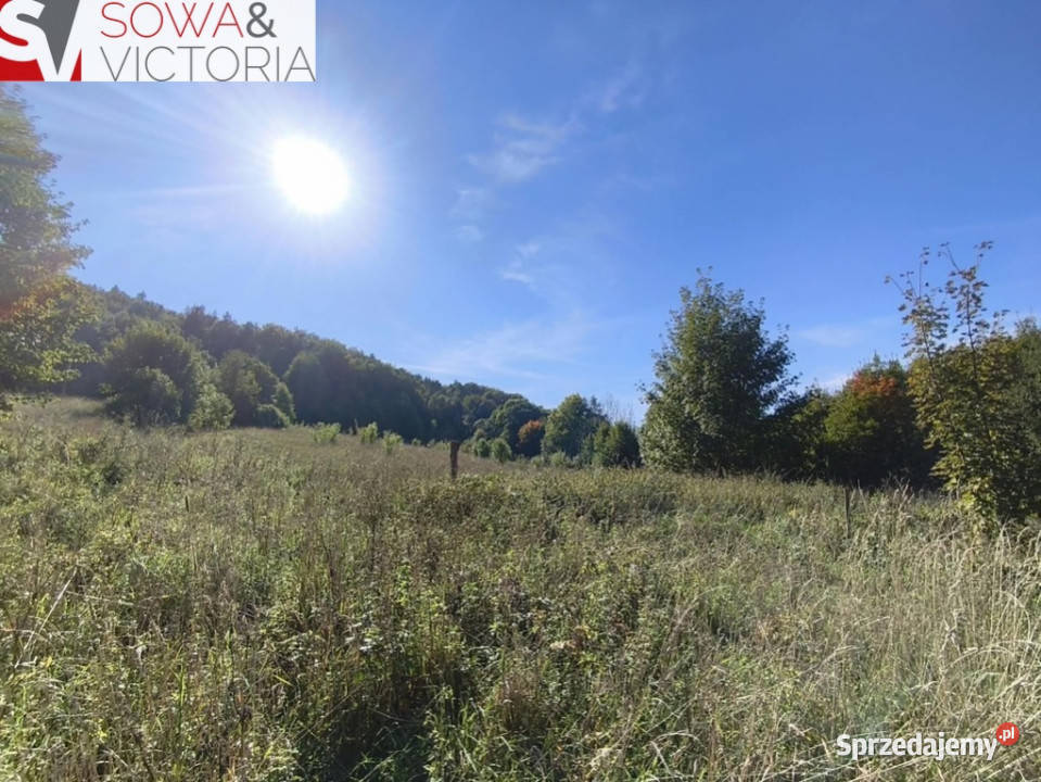Działka rolnoleśna Stare Bogaczowice