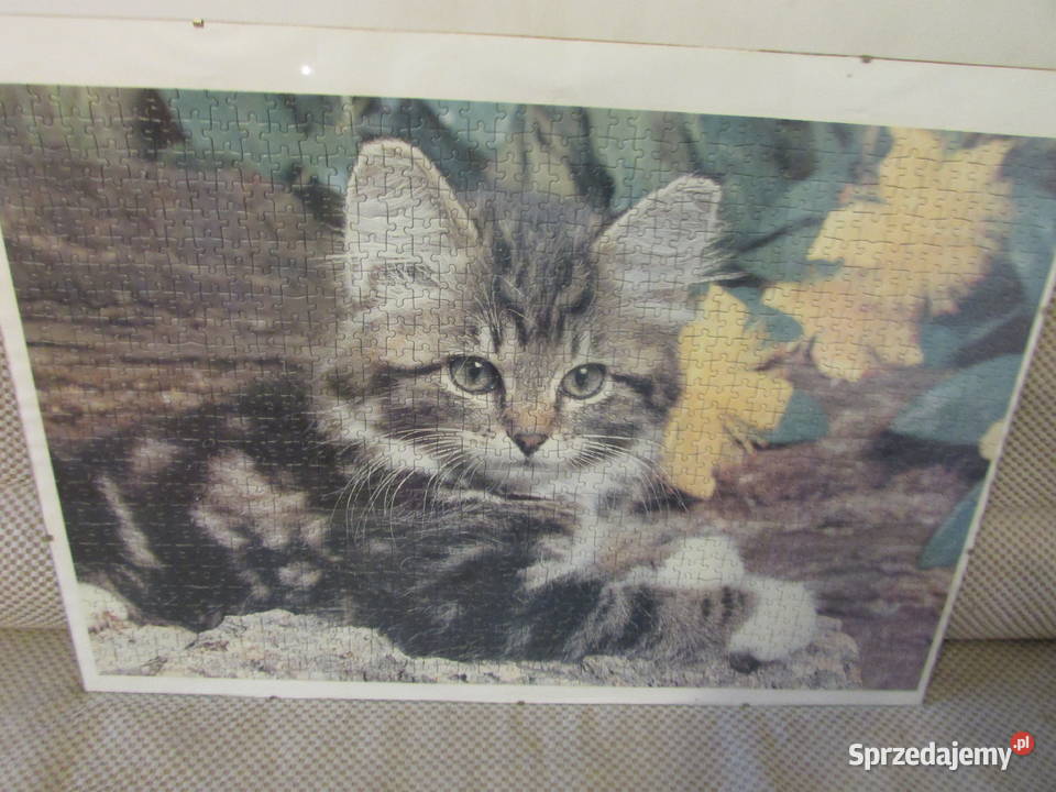 puzzle kot kotek 1000 elemantów sprzedam