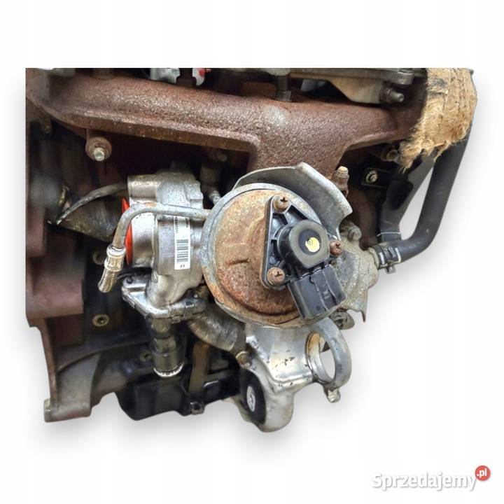 SILNIK RHR Peugeot 407 Citroen C5 III 20 HDI 16V osobowe Chełm