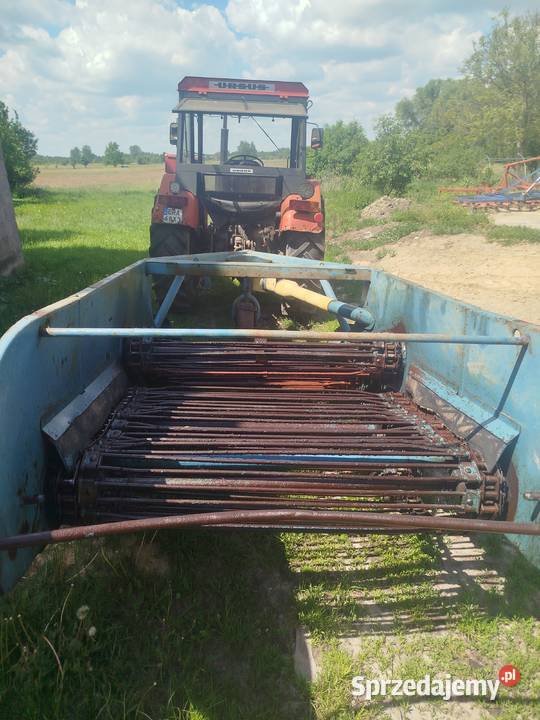 Kopaczka elewatorowa do ziemniaków Rolnictwo