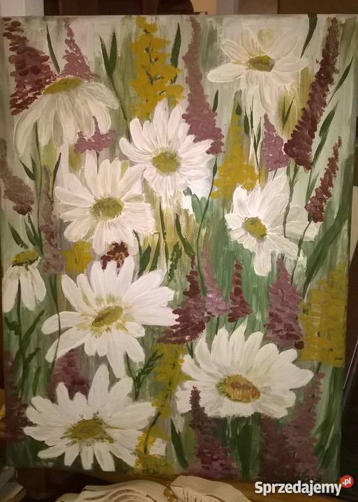 Obraz akryl Łąka Oleśnica