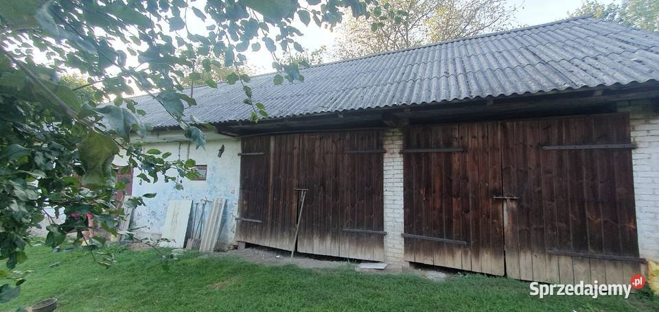 Sprzedam posiadłość 60 arów w Zdziechowicach