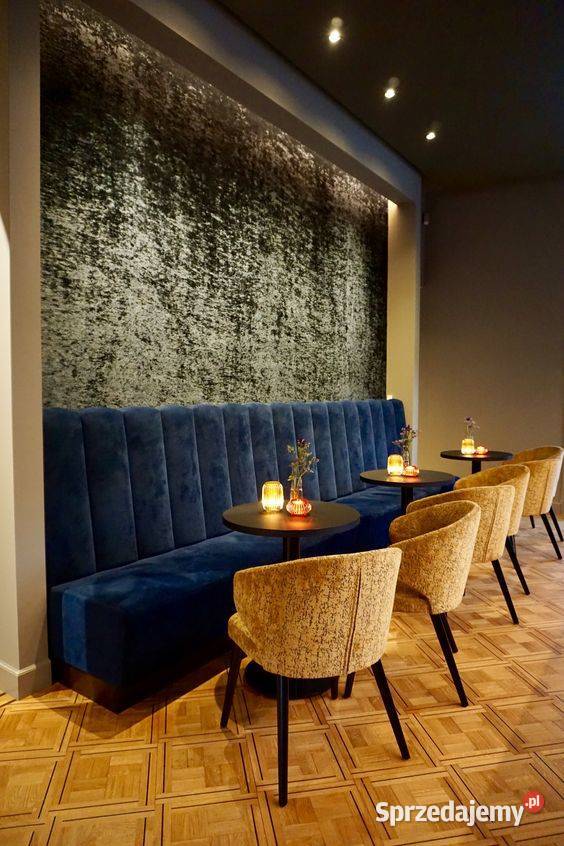 Loże barowe kanapy sofy do klubu restauracji