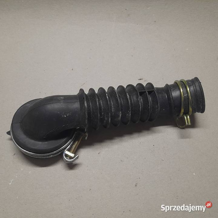 Amica PA5560A411 Części do pralki AGD Głodno