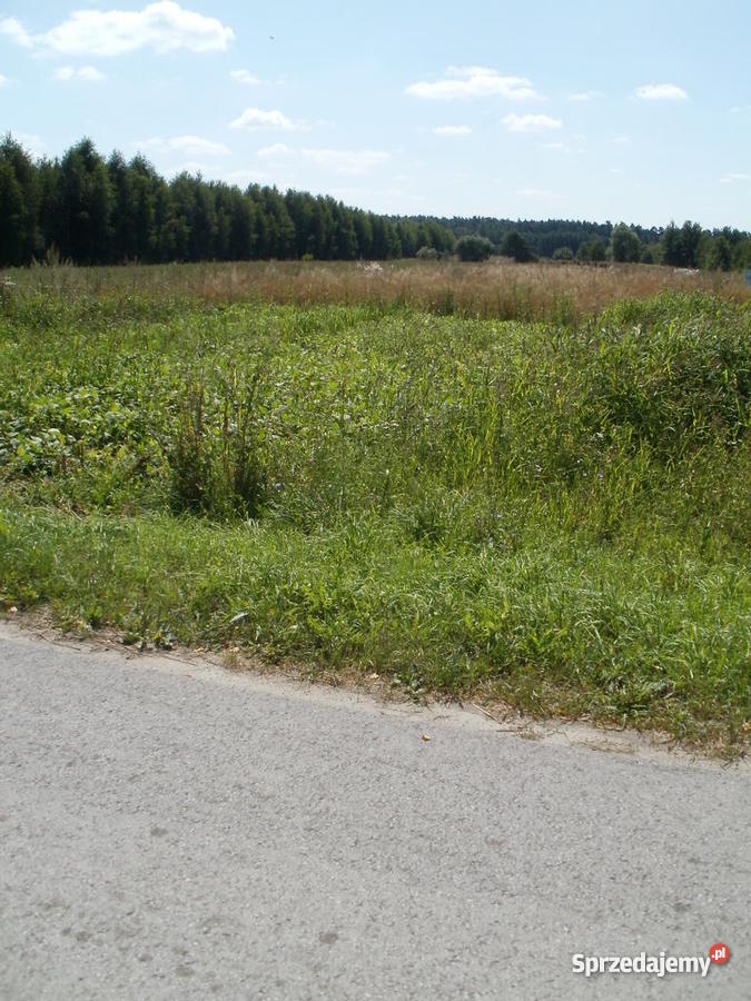 Działka Pilna Skierniewice