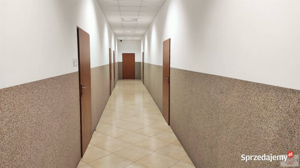 Lokal wynajmę Łódź 58m2