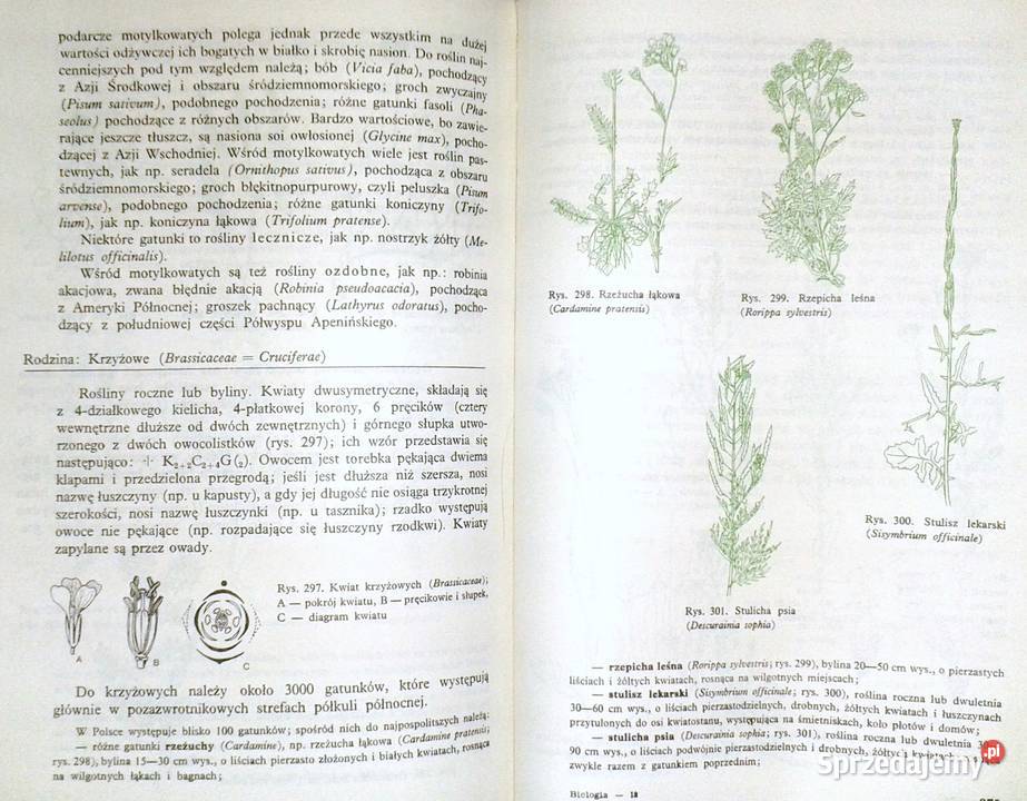 Biologia kl 1 LO M Podbielkowska Z Podbielkowski lubelskie Chełm