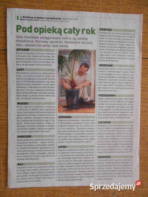 Rośliny w domu i na balkonie Kwiaty doniczkowe Parczew