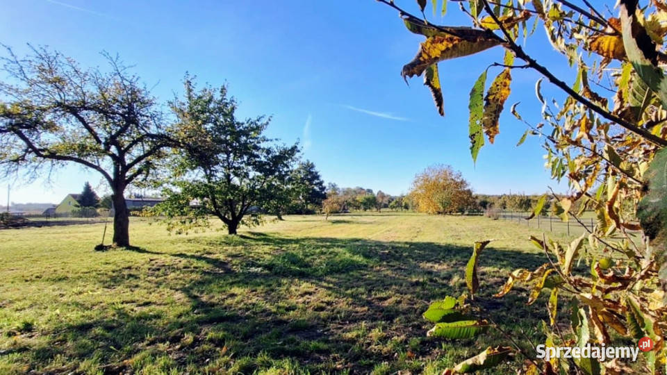 sprzedaży domu Batyń 110m2