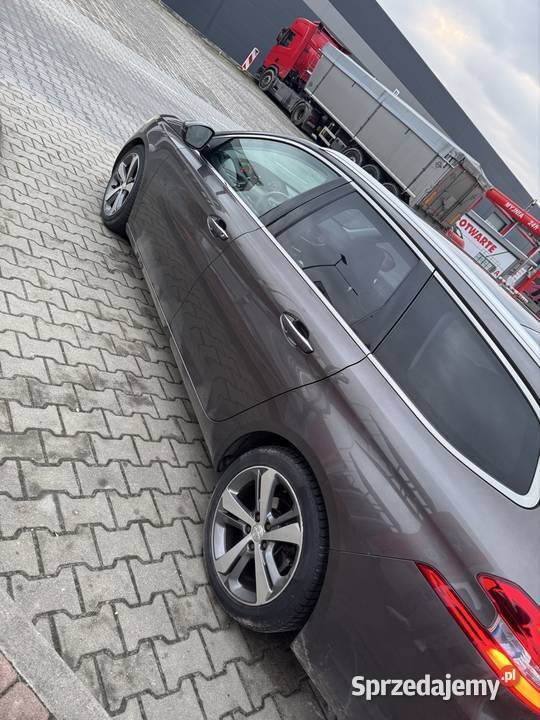 Zadbane 308 lubelskie Gródki