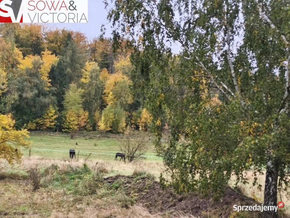 Działka lesie w sąsiedztwie zalewu utwardzona Stare Bogaczowice