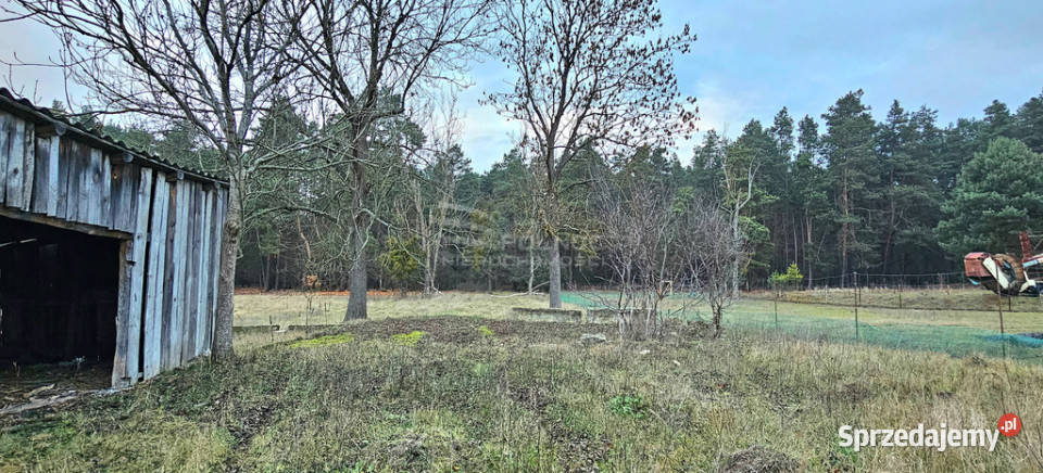 Siedlisko Wisłą na sprzedaż lubelskie