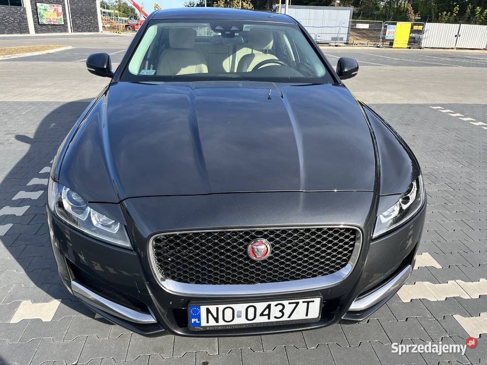 Jaguar XF 2017 zadbany Białystok sprzedam