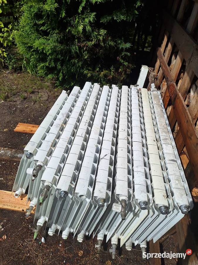 Grzejniki aluminiowe Grzejniki Biskupiec