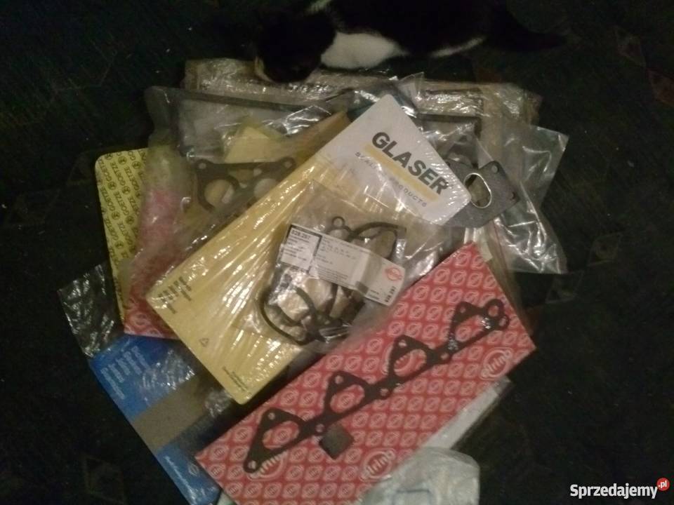 Uszczelki samochodowe silnik Żychlin