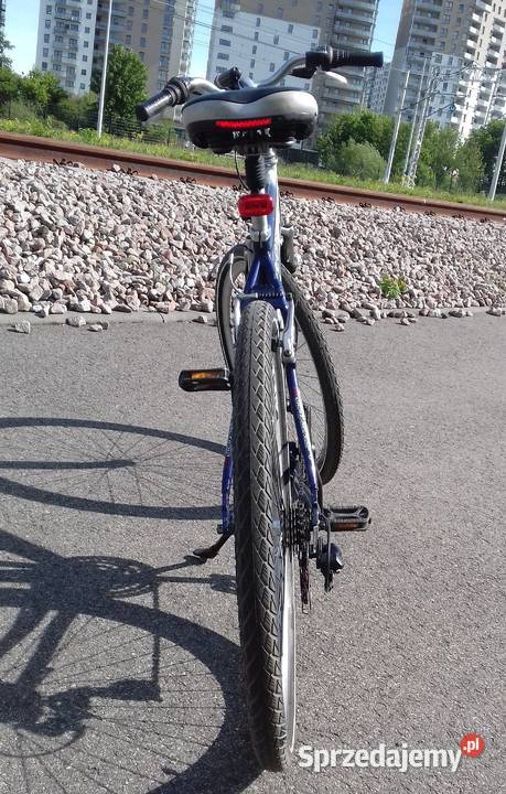 Rower Senator pełnym serwisie Górskie, MTB