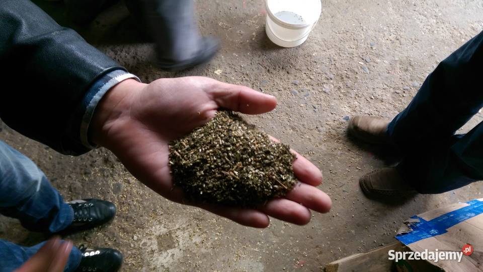 Czyszczalnia do zboża