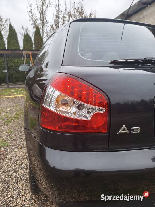 Audi a3 8l lampy tył tylne LED Lampy tylne Hrubieszów