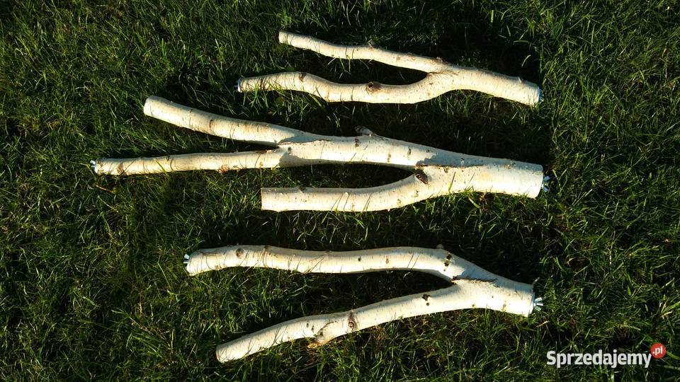 Żerdzie brzozowe z mocowaniami papug Ruda Śląska