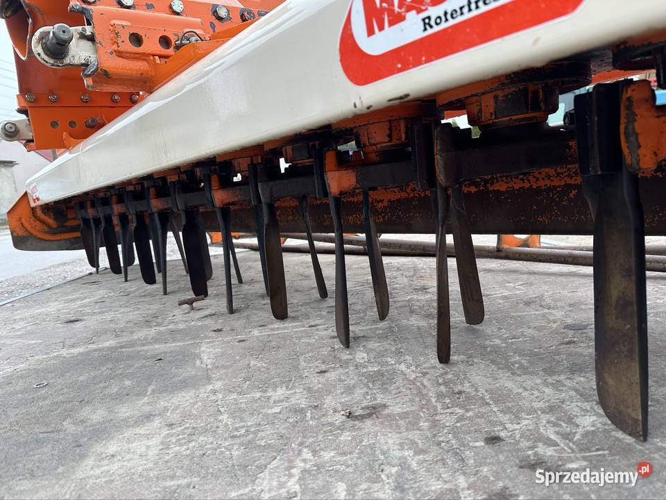 Brona wirowa maschio 25m