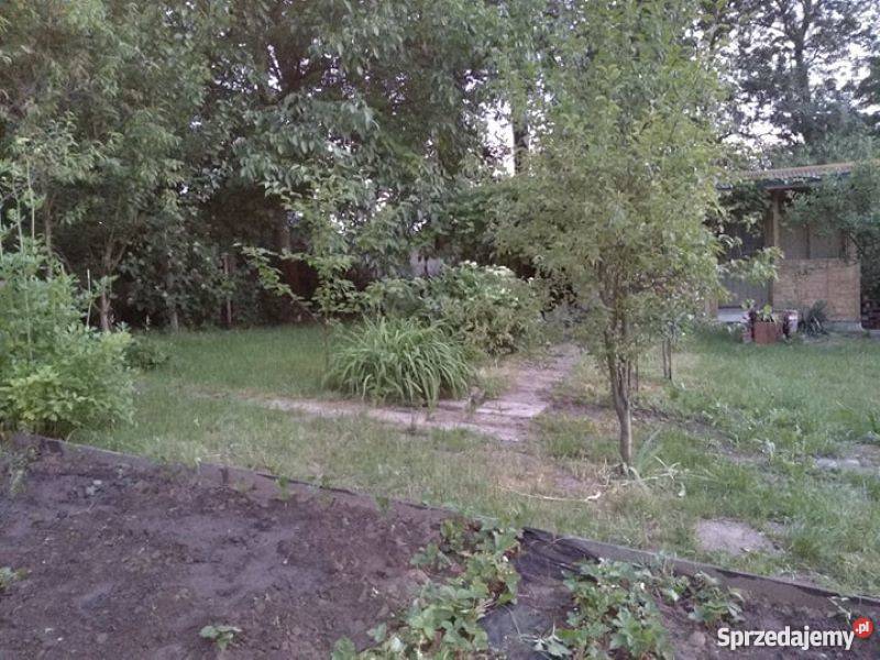 Działka w ogródkach działkowych ROD RELAX w 350m2 Kraków