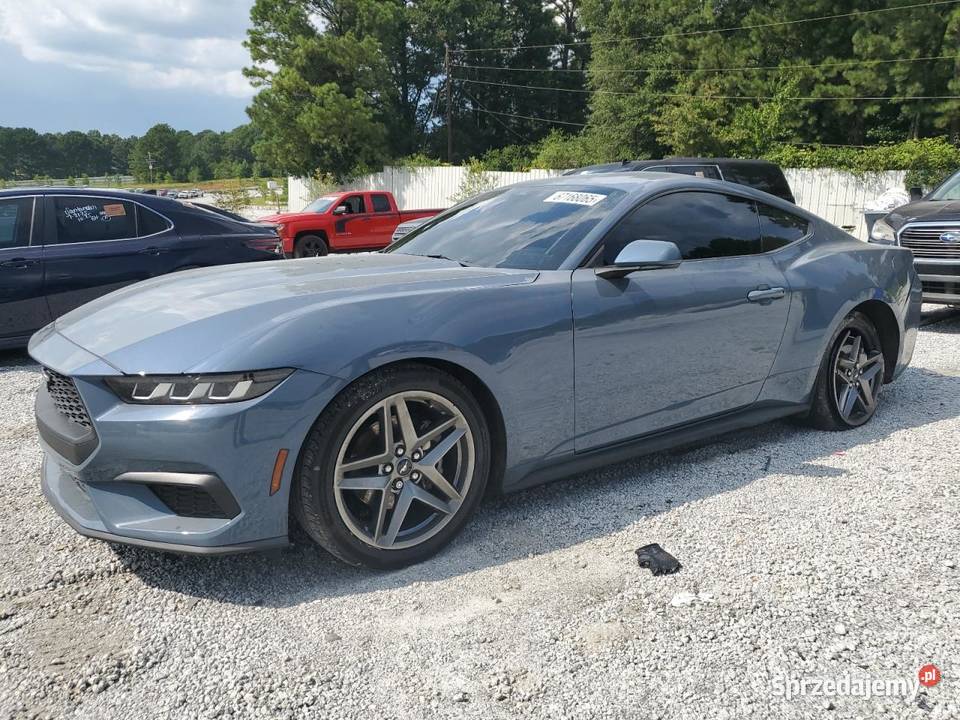 2024 FORD MUSTANG Częstochowa