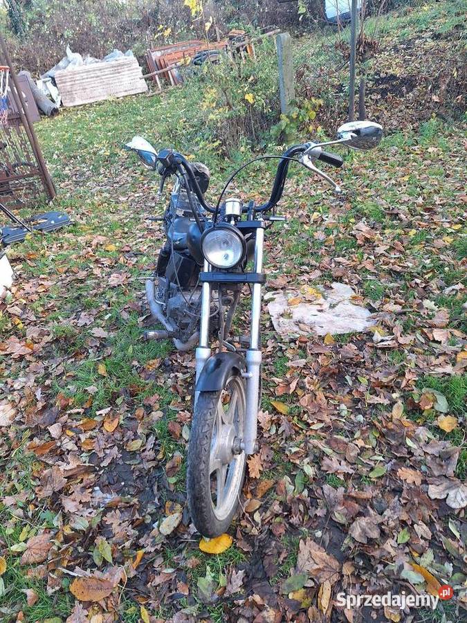 Łoś na części Kingway Mokrzeszów