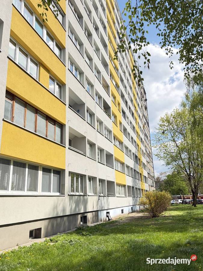 Sprzedam Ładne mieszkanie 2 pokojowe 33m2 z 3 piętra i więcej dolnośląskie