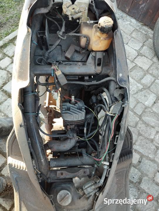 PANNONIA PANONIA chorągiewki