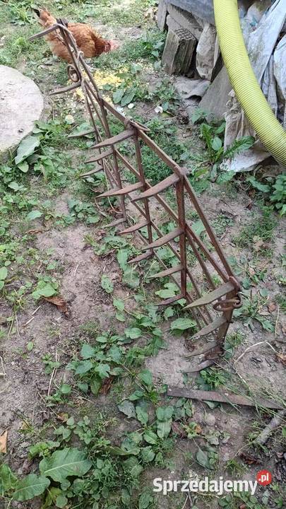 brony konne nieuszkodzony Brony Przeworsk