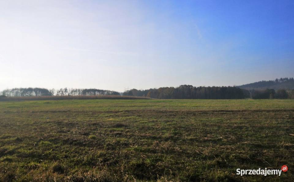 Działka budowlana z widokiem na góry możliwy dolnośląskie Grabiszyce Górne