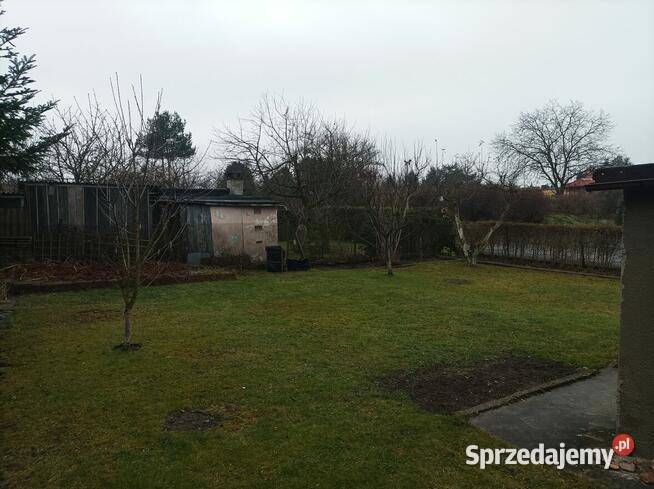 ROD 1go Maja w Gliwicach Gliwice