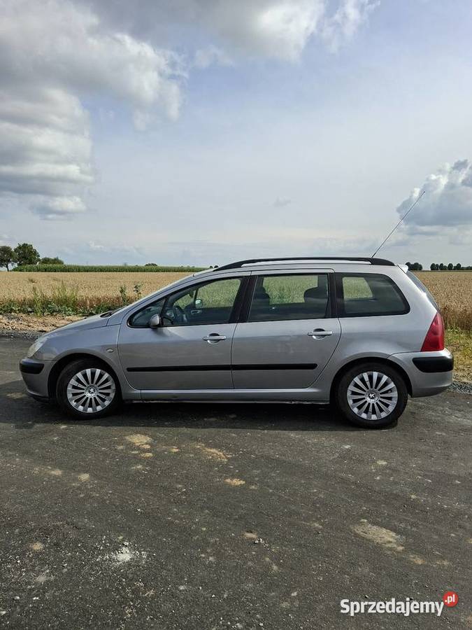 Peugeot 307 super stan klima mrozi isofix wielkopolskie