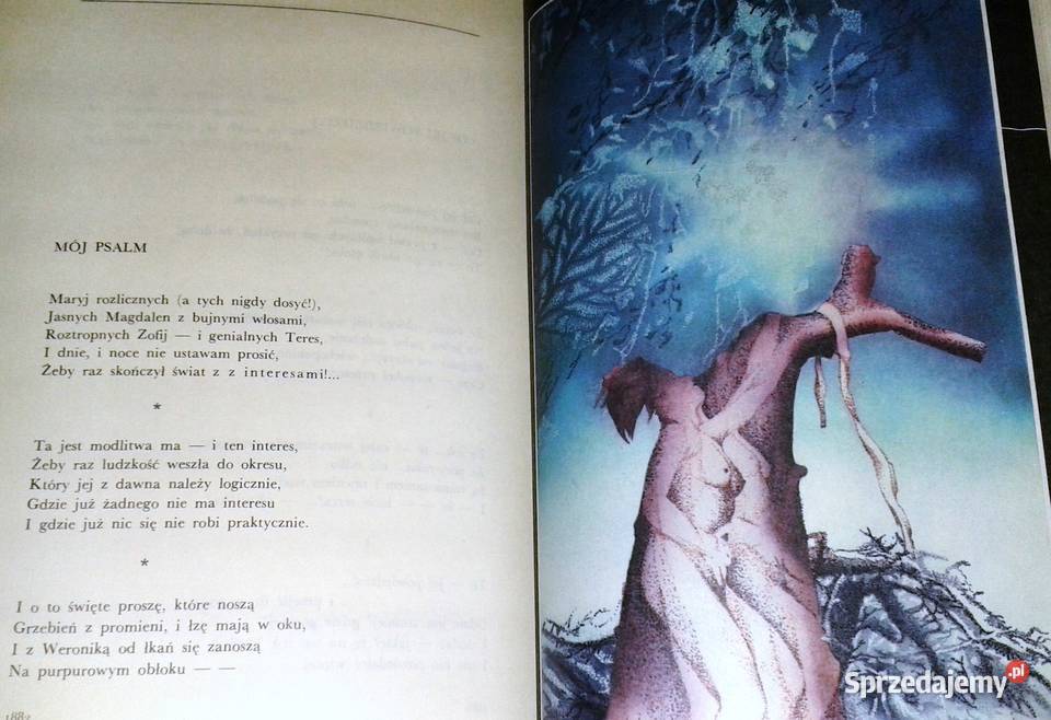 Kobieto boski diable Mickiewicz Słowacki Norwid Pozostałe Chełm