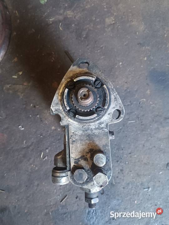 Sprzedam Sokola Dąbrowa