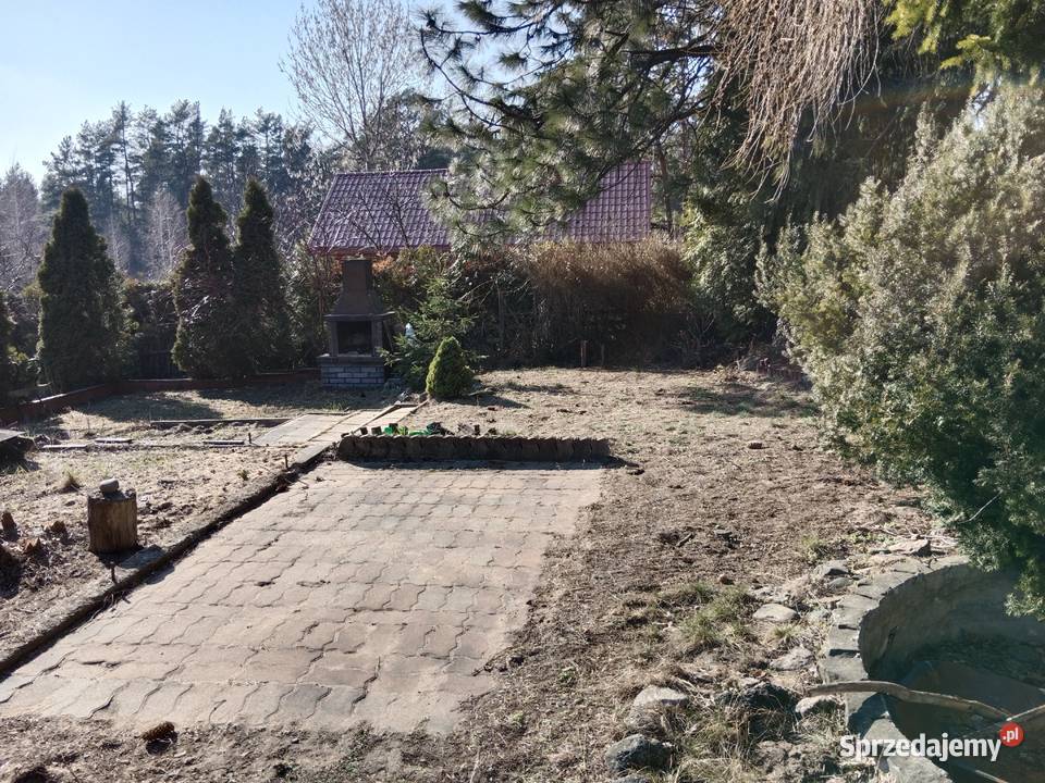 Działka ROD Jaroszówka Białystok 80zł/m2 sprzedam