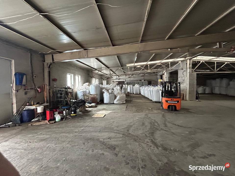 Wynajem hali Aleksandria
