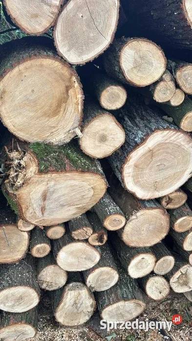Drewno do wędzenia kominkowe opałowe Dąb dębowe Łódź