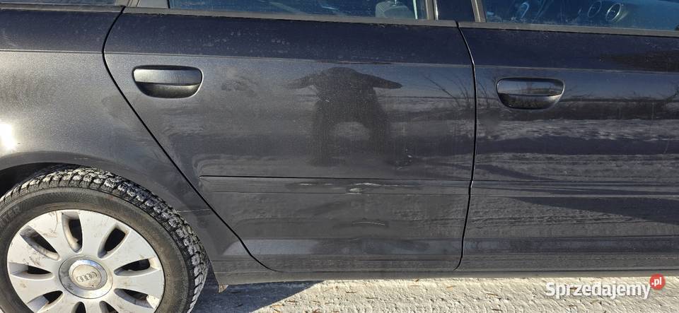 Świeżo sprowadzone zarejestrowane opłacone Świerszczów