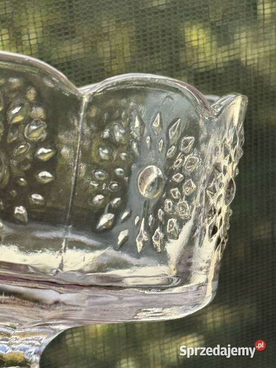 Pucharek stokrotki w nietypowym kolorze Mielec sprzedam